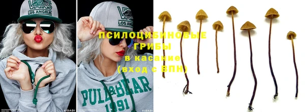 таблы Алексеевка