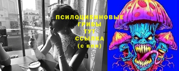 ешки Алексин